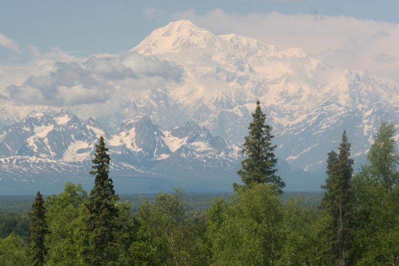 Talkeetna Alaskan Lodge מראה חיצוני תמונה